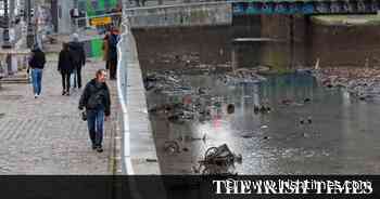 Angling Notes: Giant carp survives the pollution in a Paris canal - The Irish Times