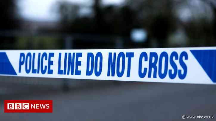 Oldham crash: Girl, 10, dies and another child injured - BBC News