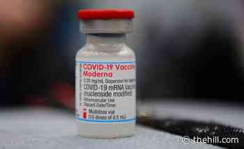 Moderna says booster increases antibody levels against omicron