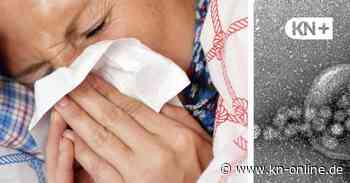 Nach Corona-Pause: Norovirus breitet sich im Norden wieder aus