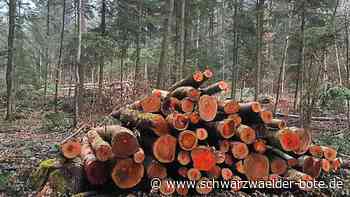 Klimawandel: Simmozheimer Forst steht vergleichsweise gut da