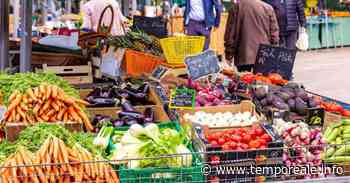 Formia / Mercato di Largo Paone, approvato lo spostamento dei commercianti per le feste natalizie - Temporeale Quotidiano