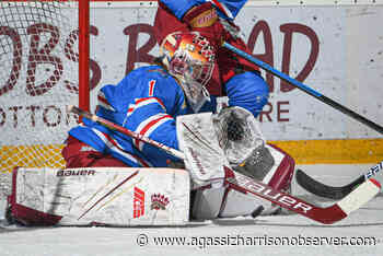 Chilliwack Chief Grant Riley to play in BCHL three-on-three tournament – Agassiz Harrison Observer - Agassiz-Harrison Observer