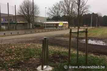 Zeven nieuwe zuilen voor hondenpoep duiken op (Lille) - Het Nieuwsblad