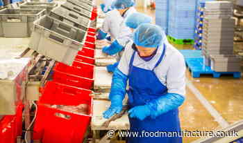 Scottish seafood industry to benefit from £100k training fund