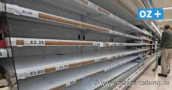 OZ-Kolumne aus Stralsund: Steuern wir auf eine Mangelwirtschaft zu? - Ostsee Zeitung
