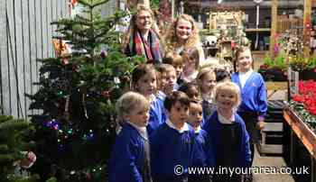 South Farnham School wins Christmas tree decoration competition - In Your Area
