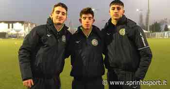 Chieri-RG Ticino: che show al Roberto Rosato, uno straordinario Grassi stende la compagine di Viola insieme a Tafa e Moscato - Sprint e Sport