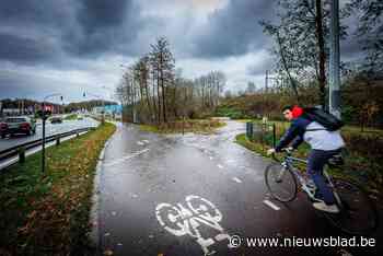 Provincie rooit 1,3 hectare bos voor aanleg fietsostrade in Mechelen: “De gekapte bomen compenseren we”