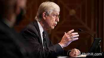 NIH director says Trump, Republicans pressured him to back unproven COVID-19 remedies