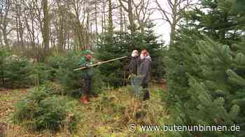 Auf der Suche nach dem perfekten Weihnachtsbaum in Lilienthal - buten un binnen