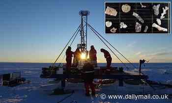 'Oasis of life' is discovered beneath Antarctica's Ekström Ice Shelf