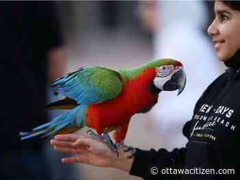 Hamers: Tiger King-esque animal abuse happens in Canada, too