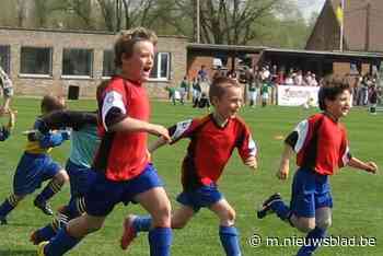 Kobe Brems en Simon Plaskie, ooit ploegmaats bij voetbalclub Puurs, spelen volgend seizoen samen bij volleybal - Het Nieuwsblad
