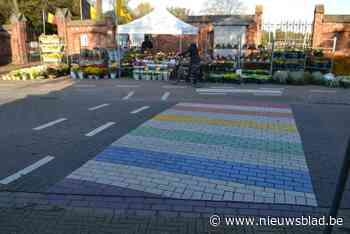 Gemeentebestuur houdt het bij één regenboogzebrapad - Het Nieuwsblad