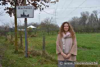 Machelen krijgt hondenlosloopweide, uitbreiding speelbos en camperplaats
