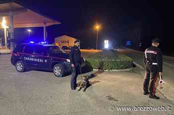 Bibbiena: due giorni di controlli con arresti e denunce da parte dei carabinieri - ArezzoWeb