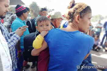 Menores en la frontera sufren estrés postraumático por ser separados de familiares - NotiPress