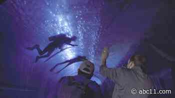 Aquarium of the Bay provides a lens into ocean health for 25 years