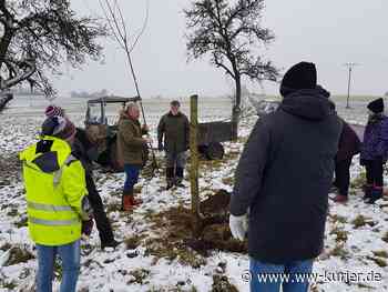 Acht neue Obstbäume: Erste Pflanzaktion einer Bürgerinitiative aus Steinen - WW-Kurier - Internetzeitung für den Westerwaldkreis
