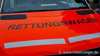 Geschlagen, getreten und mit Steinen beworfen: Körperverletzungen in Halle (Saale) - H@llAnzeiger