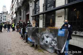 “Bont is bloed”: Animal Rights protesteert tegen verkoop van bont in Antwerpen - Gazet van Antwerpen
