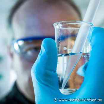 Klimaschutz im Job: Ausbildungsberufe nicht unterschätzen - radioeuskirchen.de