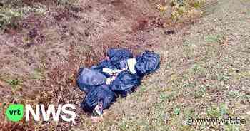 Sluikstorter uit Vilvoorde veroordeeld tot zes maanden cel en zware boete - VRT NWS