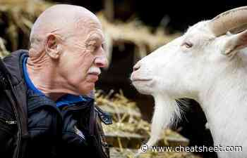 'The Incredible Dr. Pol' Kicks Off '12 Days of Pol' Holiday Marathon on Nat Geo Wild - Showbiz Cheat Sheet