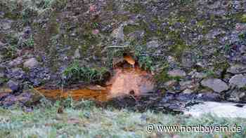 Breiige Masse floss in Bach: Feuerwehr Erlangen rückte mit Gefahrengut-Einsatzzug an - Nordbayern.de