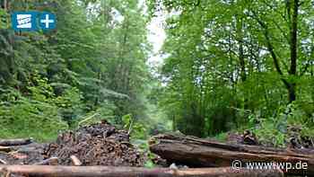 Freie Wähler Finnentrop: „Es wird ein neuer Stil gepflegt“ - WP News