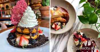 A plant store, brunch & cocktail bar-hybrid is opening in Calgary this month - Curiocity