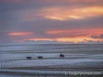 On the Road: Solstice - Calgary Herald