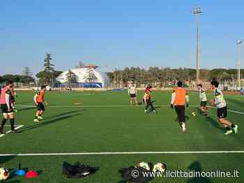 Siena: obiettivo Pesaro. Ripresa la preparazione - Il Cittadino on line