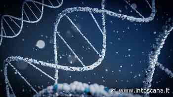 Siena, ecco il modello matematico che "prevede" la gravità del Covid - intoscana - inToscana