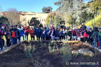 Siena, al via alla scuola ''Peruzzi'' il bosco didattico di Unicoop Firenze - SienaFree.it