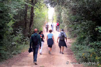 Guide ambientali escursionistiche, corso a Siena organizzato da Cescot - SienaFree.it