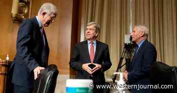 Emails Show the Fauci, NIH Conspiracy to Destroy an Anti-Lockdown Declaration Allegedly Signed by 15,000 Scientists