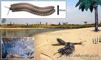 Fossils: Huge 8.9ft-long millipede dating back 326 million years is uncovered near Newcastle 