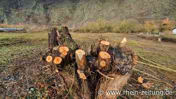 LBM-Neubau Cochem-Cond: Wo bislang nur Grün wächst - Rhein-Zeitung