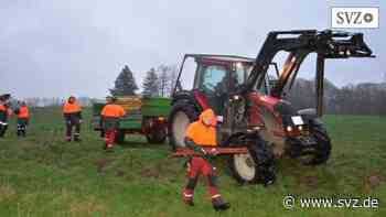 ASP in Ludwigslust-Parchim: Der Kampf gegen die Schweinepest im Forstamt Kaliß | svz.de - svz – Schweriner Volkszeitung