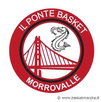 Il Ponte Morrovalle supera la Vigor Matelica con un ottimo 2° tempo - Serie D Regionale Girone B - Basketmarche.it