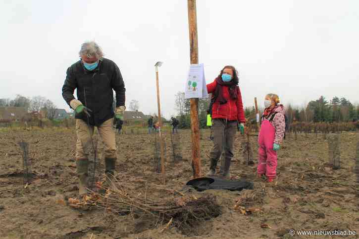 Laat het bos maar groeien: Vinderhoutse bossen breiden uit met 35 hectare