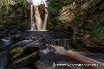 Valley of Desolation at Bolton Abbey Estate rewards visitors with beautiful waterfalls - The Yorkshire Post