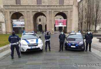 Graffiti illegali, denunciato writer ventenne a Parma - Agenzia ANSA