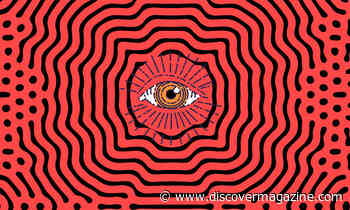 You May Be Hallucinating Right Now