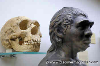 Who Were the Ancestors of the Neanderthals?