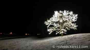 Stunning tree of lights is gift to I-35 holiday travelers