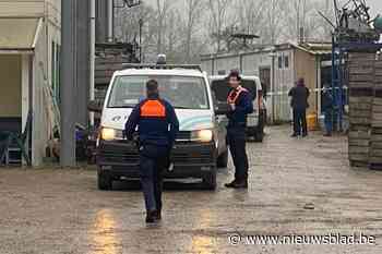 Roemeense plukker in de cel voor moord na uit de hand gelopen kaartspelletje