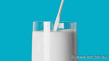 Fresher for longer, new technology opens export door for Aussie milk